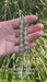 Murano glas halsketting Palermo Argento verde chiaro - handgemaakt lichtgroen Venetiaans glas