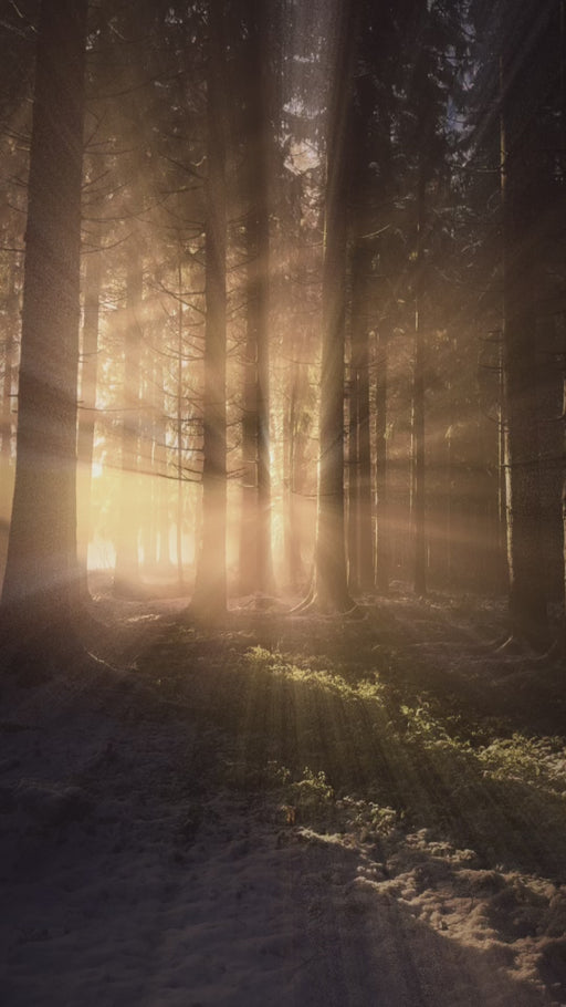 Murano glas halsketting Bologna multicolor handgemaakt Venetiaans glas